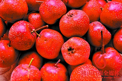 s_164550_132586.jpg